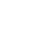 icon (4)